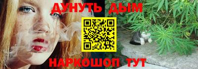 ешки Новодвинск