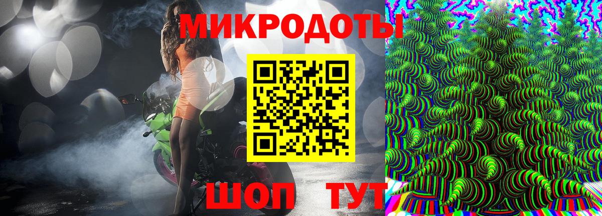 Галлюциногенные грибы Psilocybe Сокол