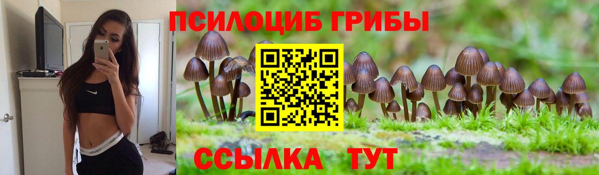 Псилоцибиновые грибы мухоморы  Вход с VPN  Сокол 